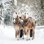 Ausseerland Nahe Skipisten Grundlsee