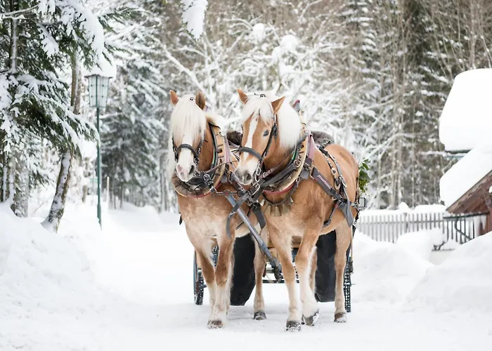 Ausseerland Nahe Skipisten Grundlsee